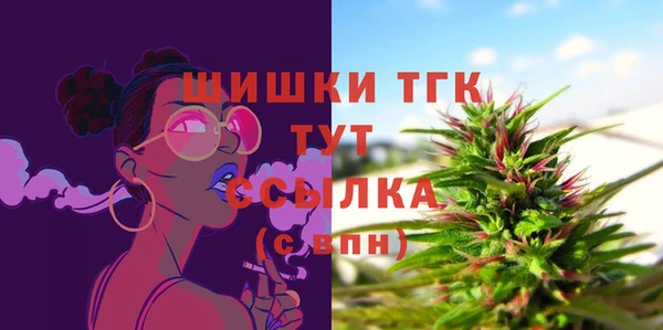 тгк Армянск