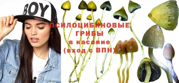 кокс Аркадак