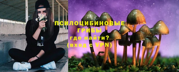 мяу мяу мука Покачи
